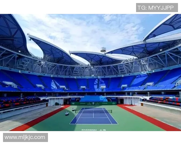 上海网球队的转型之路：从传统到现代的深度解析与展望
